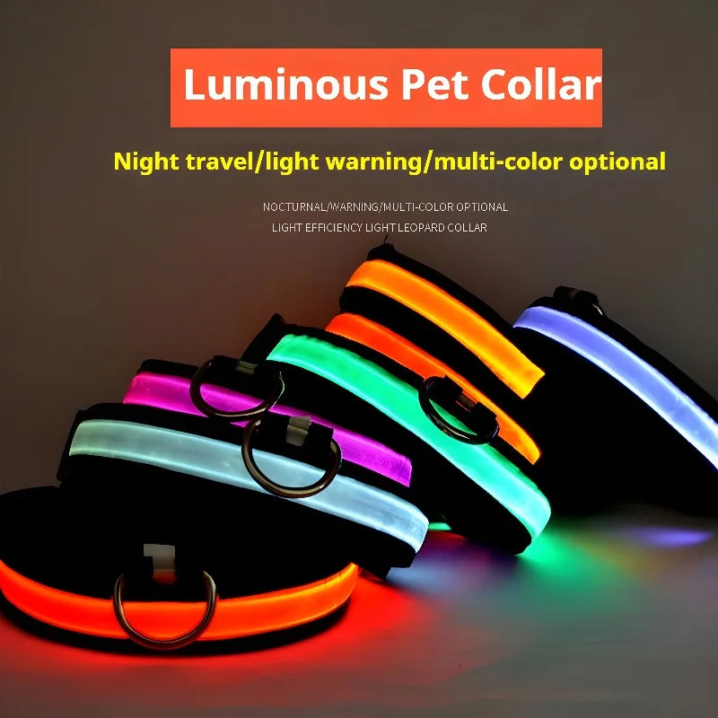 Coleira paera cachorros em LED