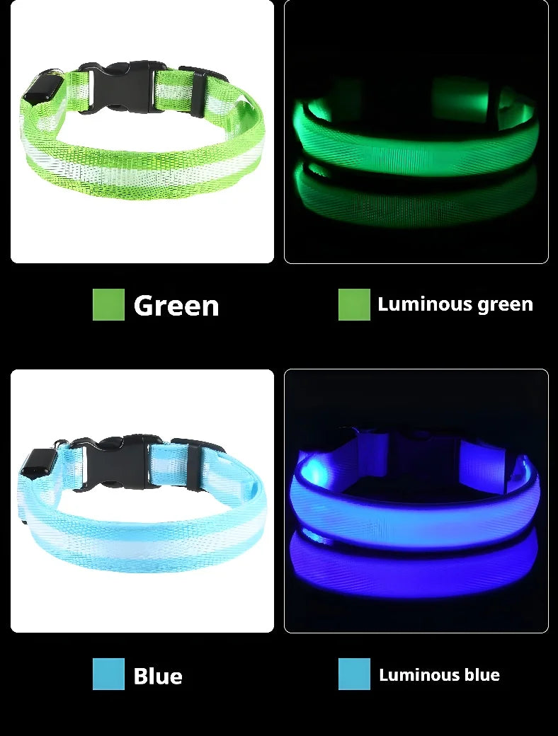 Coleira paera cachorros em LED