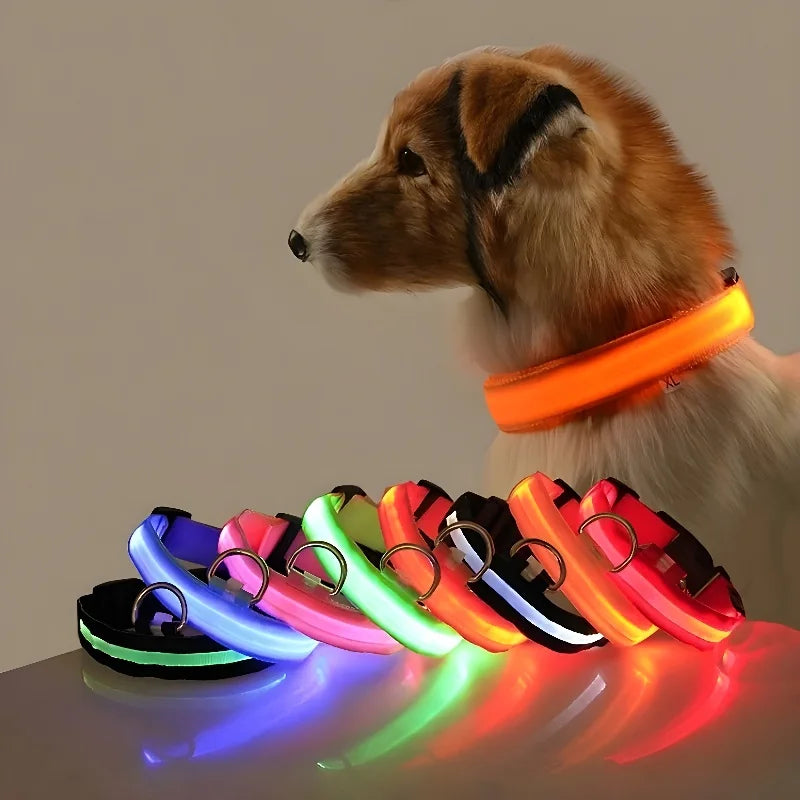 Coleira paera cachorros em LED